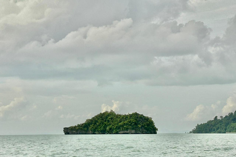 Langkawi: Mangrove Cruise with Eagle Feeding & Beach Swim 3 Hour estimated Mangrove+Beach Swim