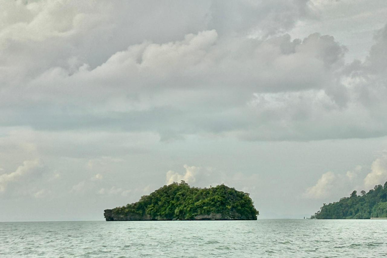 Langkawi: Mangrove Cruise with Eagle Feeding & Beach Swim 3 Hour estimated Mangrove+Beach Swim