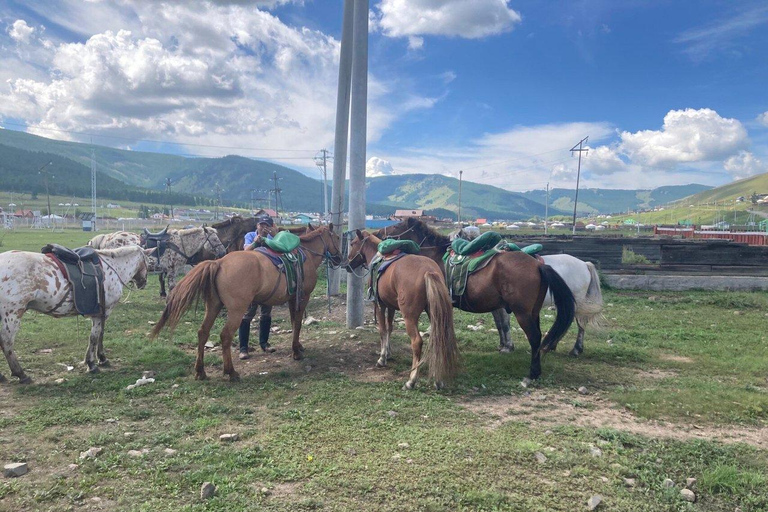 Horseback Riding Tour to Turtle Rock & Aryabal Brief Introduction to Mongol Horse