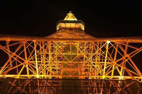 Tokyo Night Tour Dinner Cruise, Tokyo Tower,Shibuya&Shinjuku Tokyo Night Tour: Dinner cruise,Tokyo Tower,Tsukiji&Shinjuku