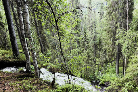 Rovaniemi to Ruka Roller Coaster & Korouoma Canyon Waterfall