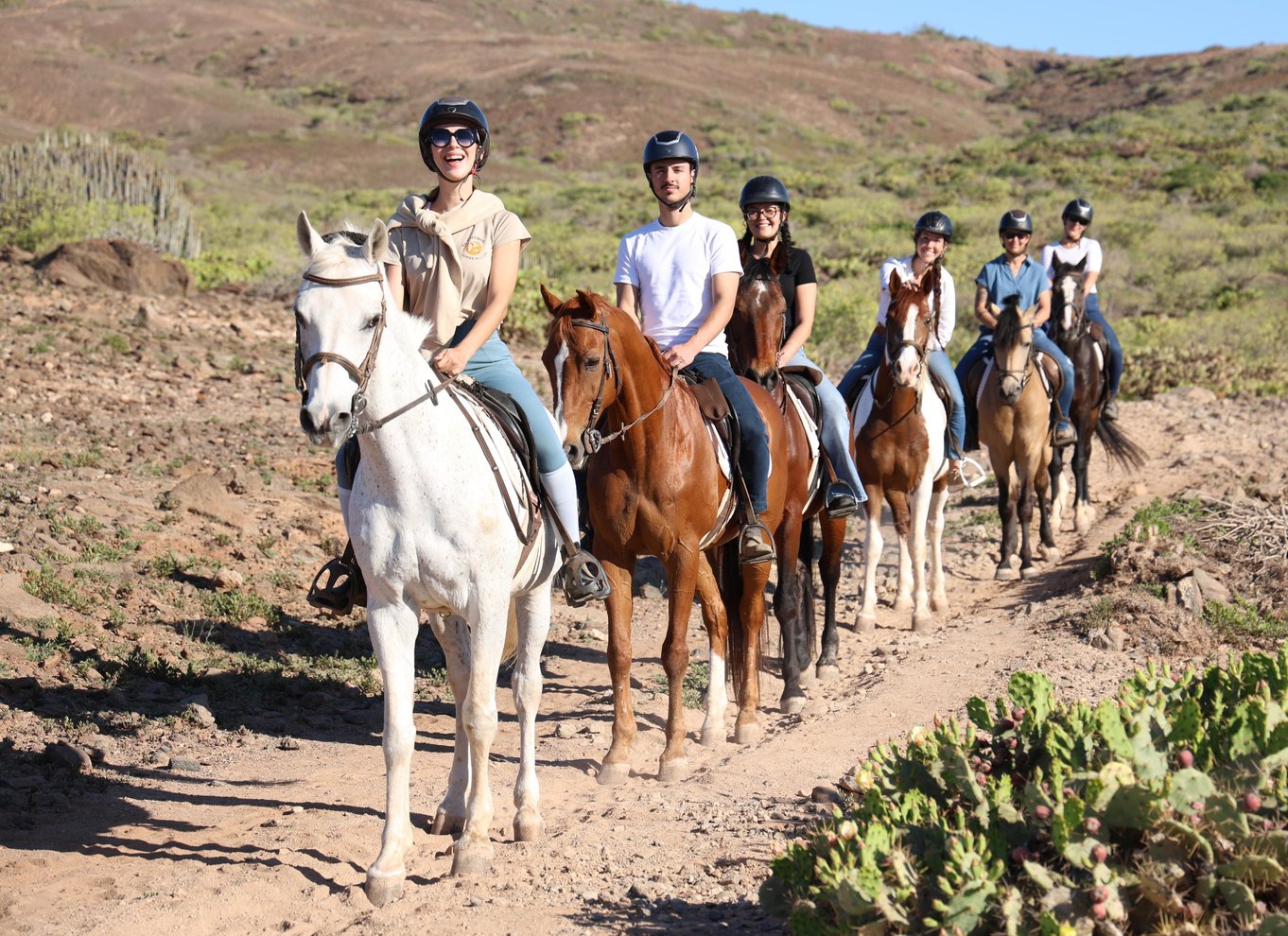 Gran Canaria: Ridning på vulkanske stier og muligheder for transport