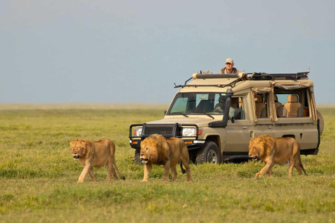 3 Days Private Midrange Safari from Zanzibar with Flights