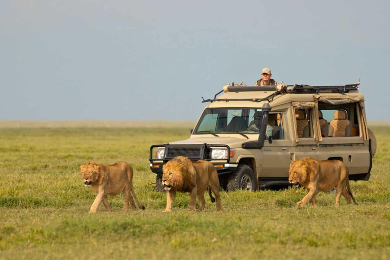 3 Days Private Midrange Safari from Zanzibar with Flights