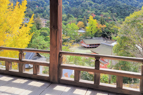 1-tägige Miyajima &amp; Iwakuni Tour: Ikonische japanische Landschaften