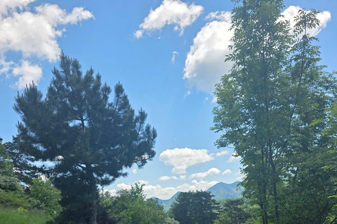 Easy Hike to Tampa Peak & Panoramic Coffee Break