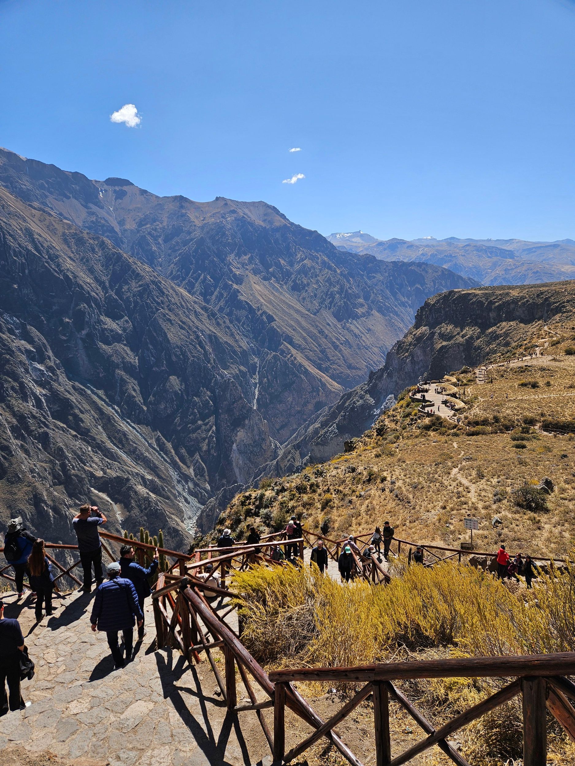 Von Puno aus: Expedition zum Colca-Tal mit Abschluss in Arequipa
