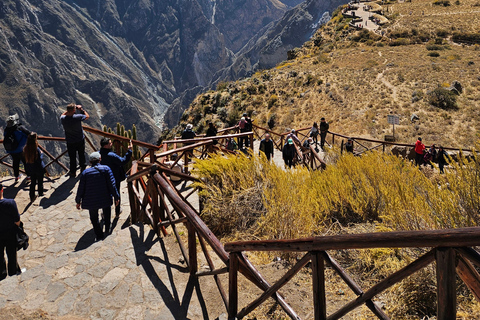 From Puno: Colca Canyon Expedition, Ending in Arequipa