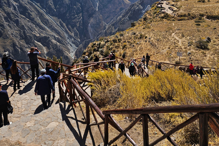 From Puno: Colca Canyon Expedition, Ending in Arequipa