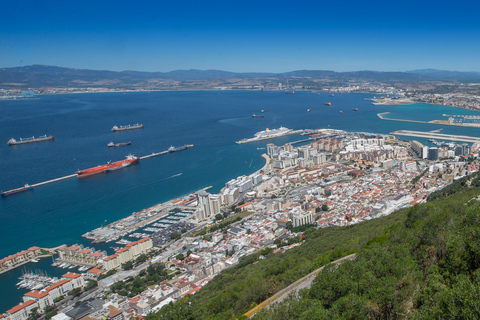 From Nerja/Almunecar: Gibraltar Day Trip with Cable Car Ride