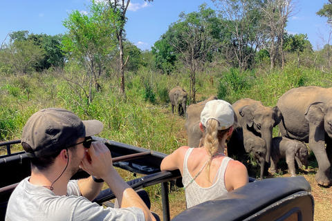 Sigiriya: Ethical Hurulu Elephant Safari With Guide Ethical Elephant Safari Without Entrance Ticket