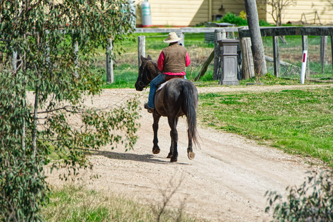 From Oslo: Forest and Lakeside Horse Riding Experience 2-Hour Forest and Lakeside Horse Riding Experience