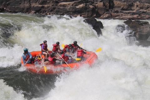 Victoria Falls: Zambezi River 2,5-daags raftingavontuur