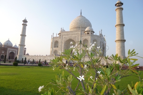 Desde Delhi: Visita Privada al Taj Mahal al Amanecer en CocheExcursión con Todo Incluido - Entradas+ Coche+ Guía+ Comida