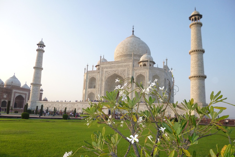 Desde Delhi: Visita Privada al Taj Mahal al Amanecer en CocheExcursión con Todo Incluido - Entradas+ Coche+ Guía+ Comida