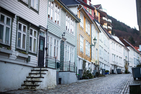 Bergen's Schemermagie: Een AvondavontuurBergen: privé wandeltour in de vroege avond