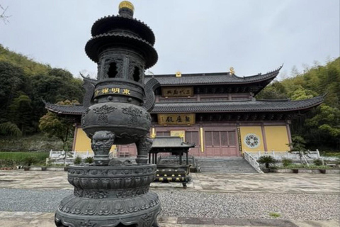 shanghai: Dongming Bamboo & Farm Picking Private Day Trip
