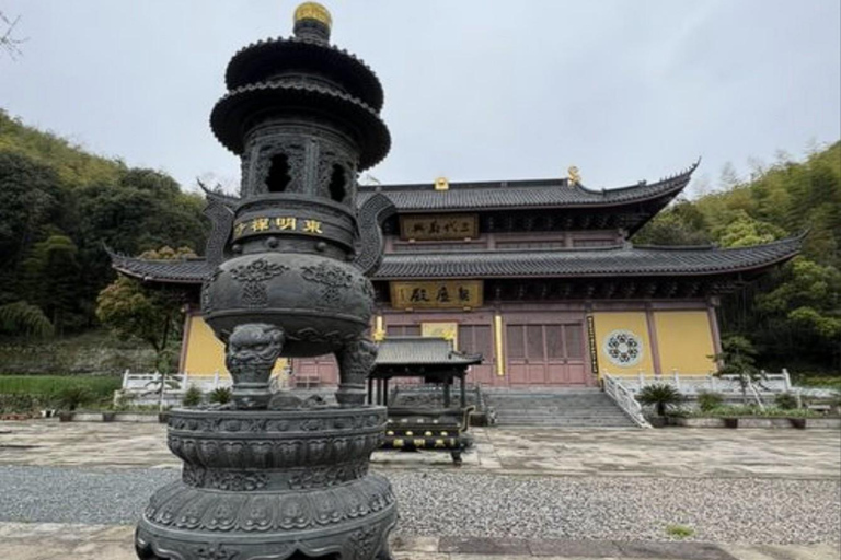 shanghai: Dongming Bamboo & Farm Picking Private Day Trip