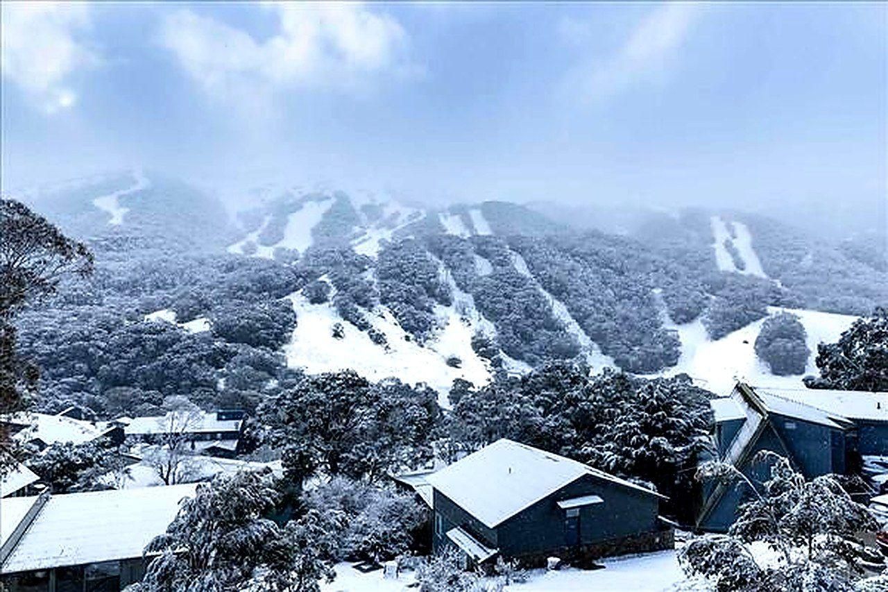 Ab Canberra: Tagestour zu den Schneefeldern von Perisher oder Thredbo