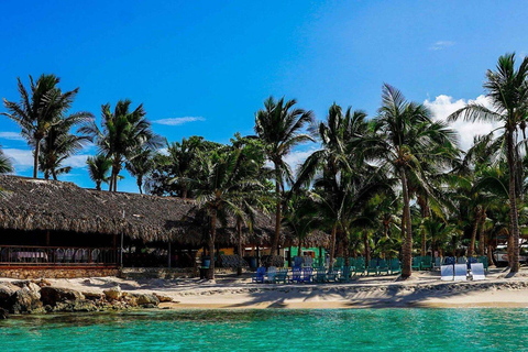 From Punta Cana: Saona Island Speedboat and Catamaran Tour VIP: All-Inclusive Trip to Saona Island Paradise