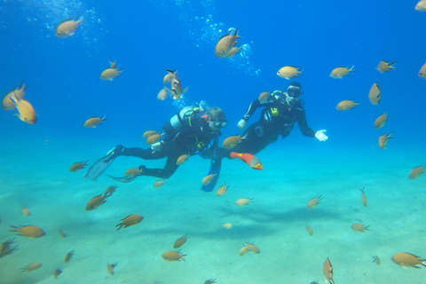 Découvrez la plongée sous-marine à Puerto de Carmen 2 plongées. Photos gratuites