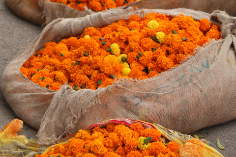 Jaipur: Visita guiada a pie con degustación de té y comida callejera