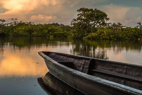 De Iquitos : Excursão de 6 dias à selva amazónica