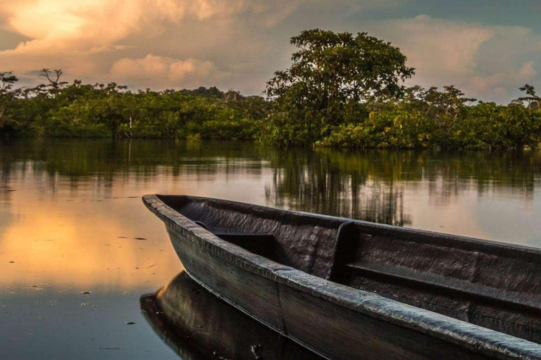 Von Iquitos aus: 6 Tage Amazonas Dschungel Tour