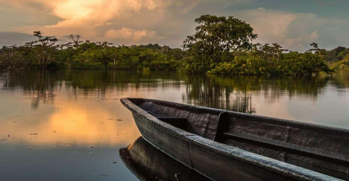 From Iquitos : 6 day Amazon Jungle Tour | GetYourGuide