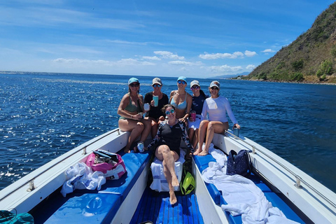 Roseau: Geführte Delfin- und Walbeobachtungstour mit Getränken