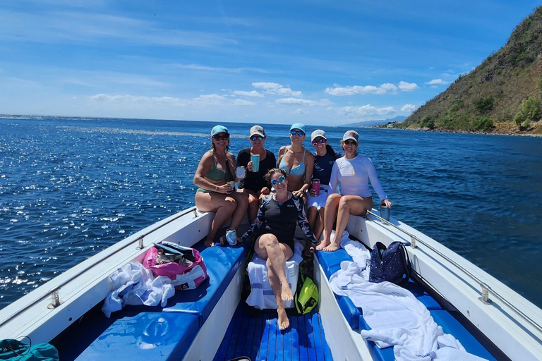 Roseau: Geführte Delfin- und Walbeobachtungstour mit Getränken