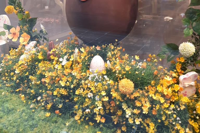 Brussels: discovering Belgian chocolate