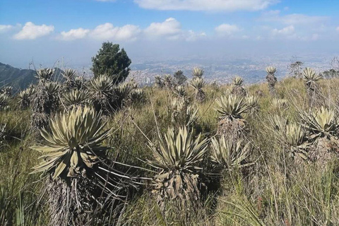 Bogota: Szlak turystyczny Las Moyas z przewodnikiemPrzewodnik mówiący po hiszpańsku