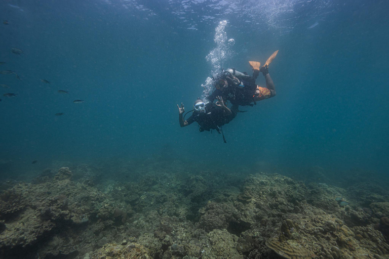 Phuket: Scuba Diving for Beginner (Shore dive in Kata beach) Phuket: Discovery Scuba Diving Experience Shore dive in Kata