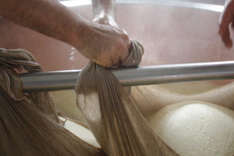 From Milk to Wheels: Parmesan Tour & Tasting in Parma Parmesan Tour in Parma - German