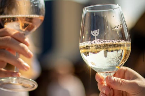 Utrecht: Wine tour with drinks & games