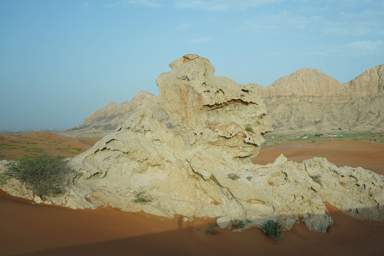 De Dubai: Jantar particular nas dunas em MleihaJantar particular