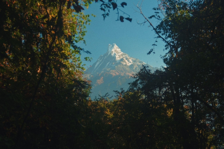 Annapurna Base Camp Trekking - Nepal