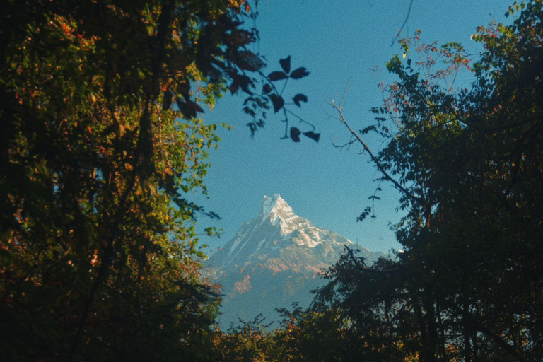 Annapurna Base Camp Trekking - Nepal