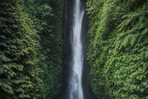 Bali: Jatiluwih Rice Terraces, Waterfall & Temple Tour