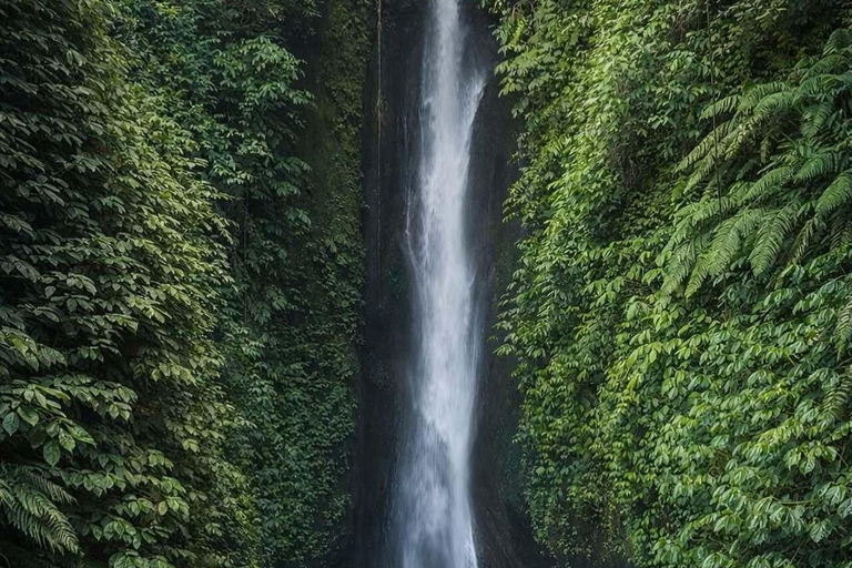 Bali: Jatiluwih Rice Terraces, Waterfall & Temple Tour