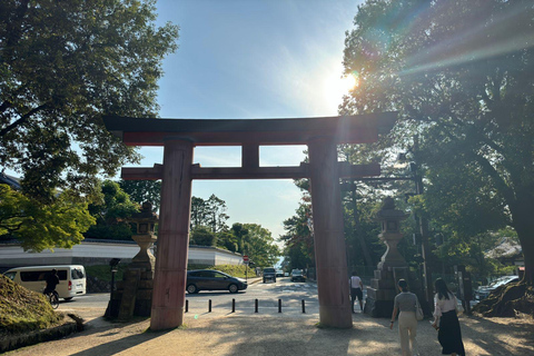 Desde Osaka: Kioto y Nara Tour privado de un día