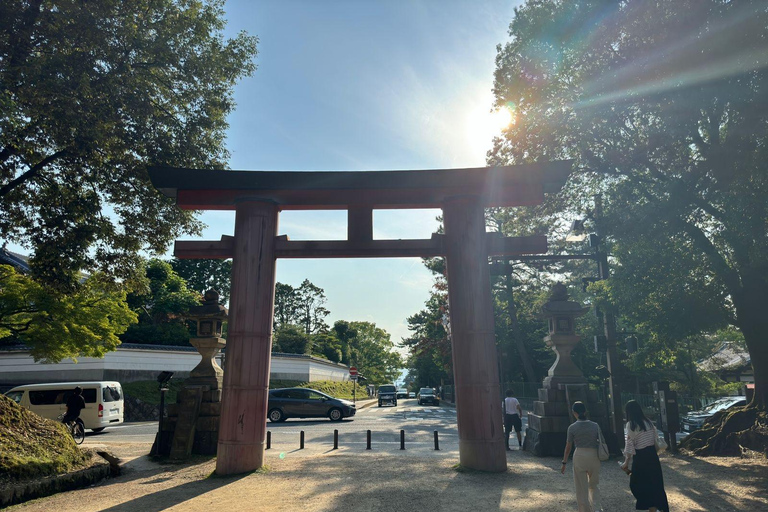 Desde Osaka: Kioto y Nara Tour privado de un día