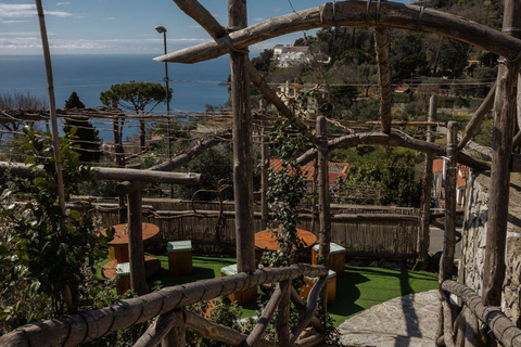 Positano: lekcja gotowania i degustacja vista li Galli