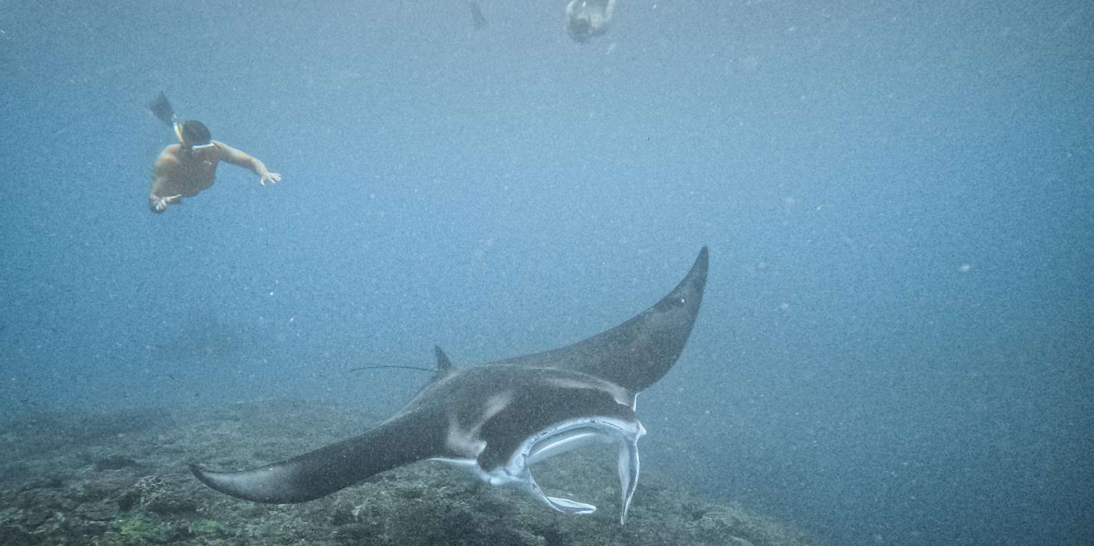 Bali: Premium Yacht Nusa Penida Manta Snorkeling & Land Tour — gallery image 4