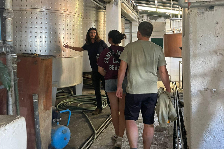 Madeira: Distilleries