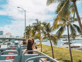 Miami: Bustour & optionale Bootsfahrt & Everglades-Show Miami: Bustour & optionale Bootsfahrt & Everglades-Show