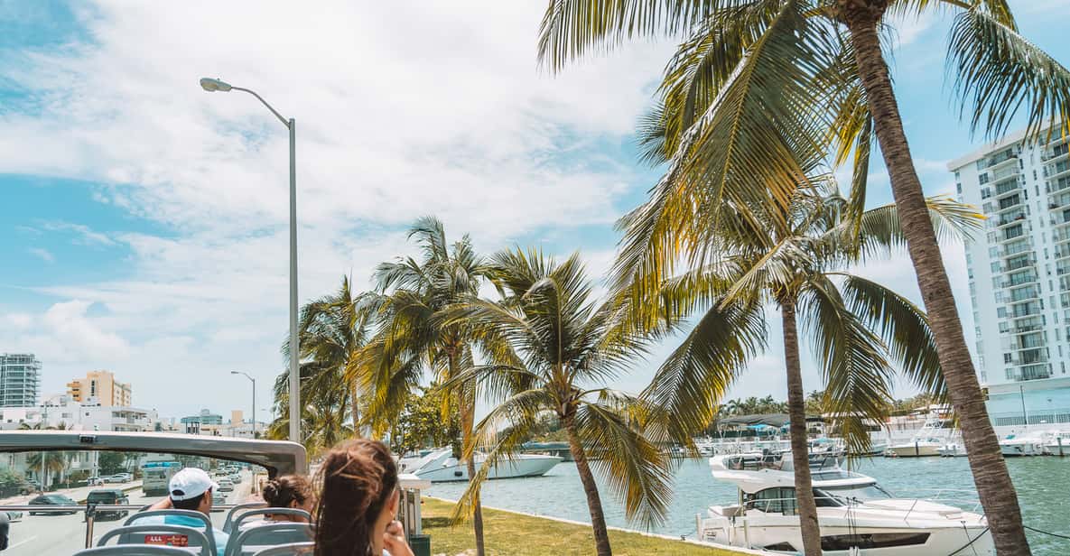 Miami: Open Top Bus Tour & Optional Cruise & Everglades Show