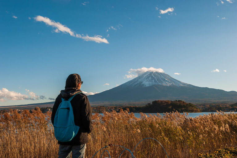 Tokyo: Mount Fuji Private Customizable Tour In Luxury Van