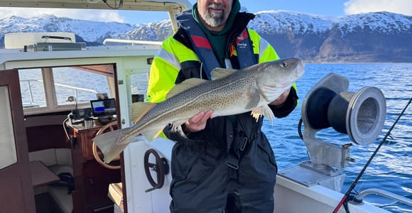 Tromsø: Private Fishing Tour - Cabin Boat